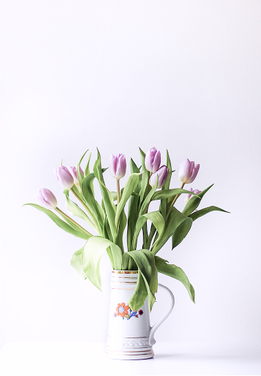 plant image from 'featured' category