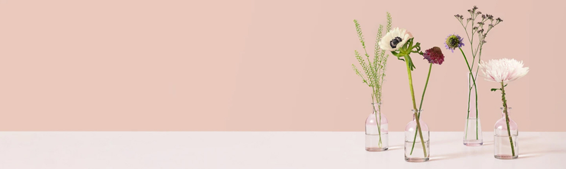 Free shipping service